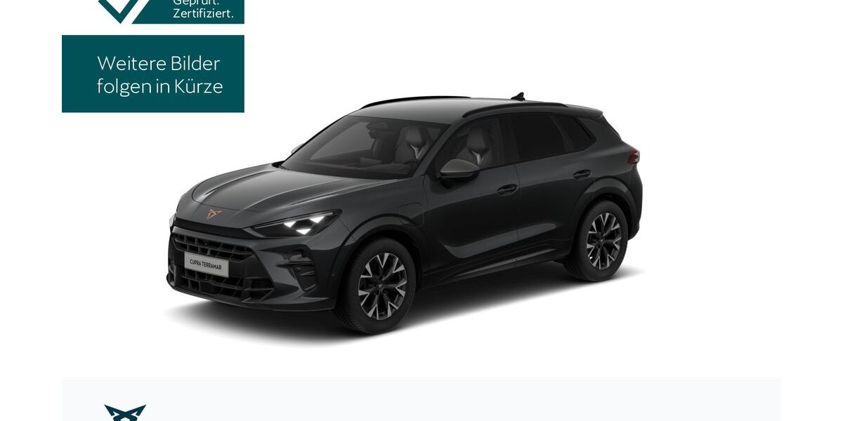 Cupra Terramar 16.330 km 37.890 &euro; Königstein 61462