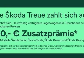 Skoda Kamiq 9.900 km 24.980 &euro; Frankfurt 60435