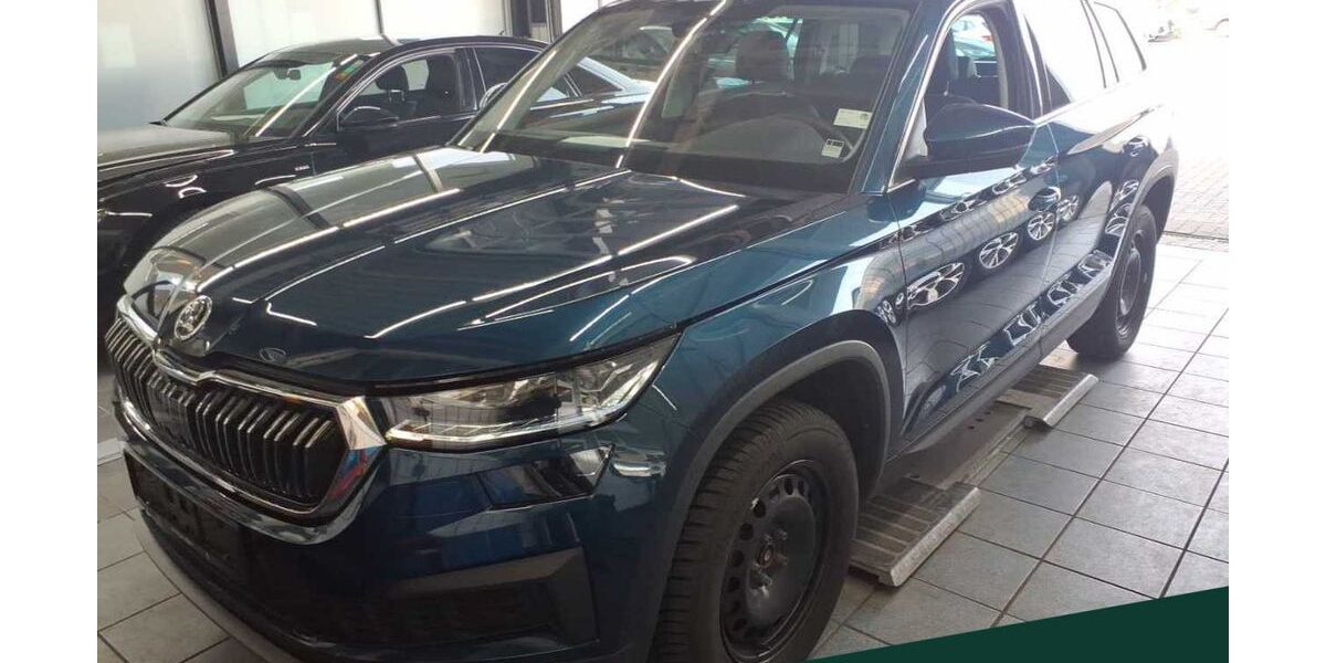 Skoda Kodiaq 68.750 km 31.888 &euro; Mühlheim 63165