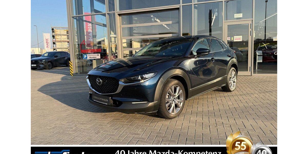 Mazda CX-30 54.390 km 23.990 &euro; Karben 61184