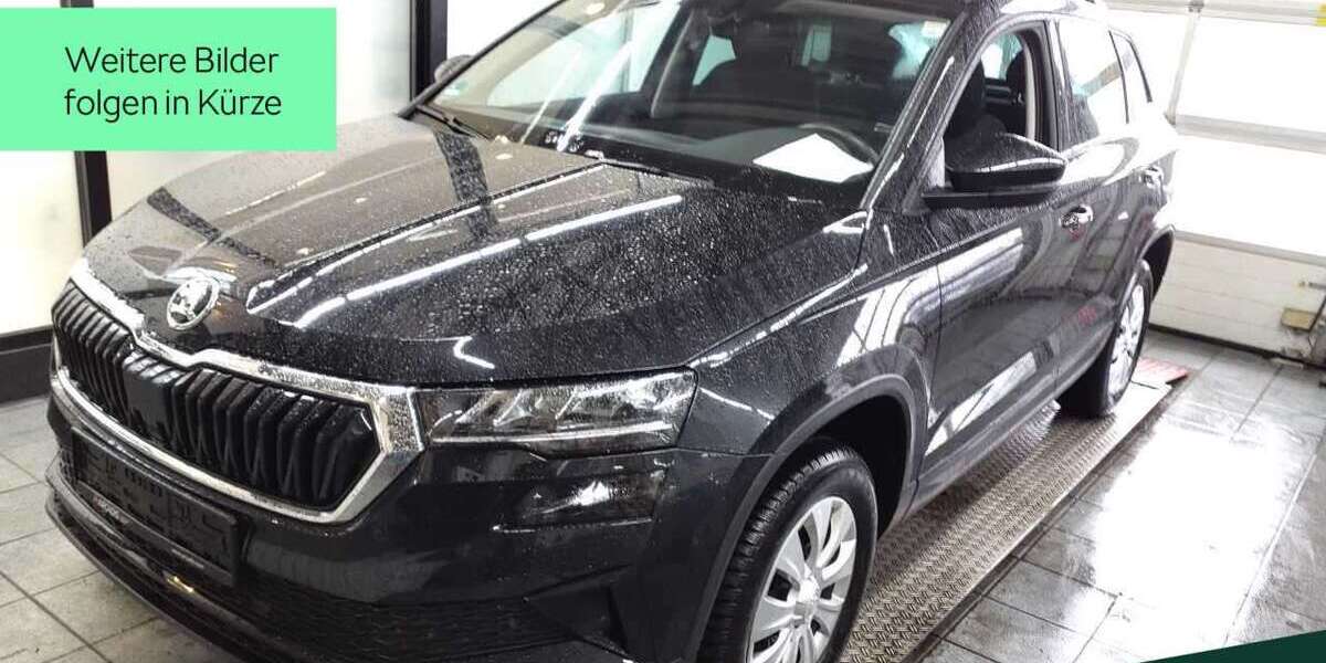 Skoda Karoq 39.400 km 26.288 &euro; Mühlheim a. Main 63165
